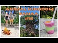 Vlog Floride 2023 #15- WALT DISNEY WORLD 🌞- ANIMAL KINGDOM  🌎