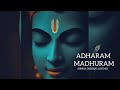 Adharam Madhuram (Slow + Reverb) | Krishna Bhajan | Bhakti Song | Bhajan Song | Madhurashtakam Lofi Mp3 Song