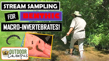 Stream Sampling for Benthic Macroinvertebrates