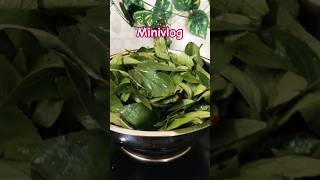 💥🌿🌿 Enga veetu keerai kutty story minivlog / diml / cleaning / shopping fun family