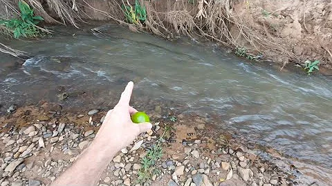 Como calcular a velocidade da água de um rio?