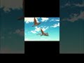 تصميم أنمي على صوت صفير البلبل   عربي   صوت صفير البلبل