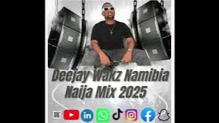 Deejay Wakz Namibia Naija Mix 2025