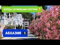 Когда сочинцам скучно, мы едем в Краснодар, горы или Абхазию 👍 Всё о людях, Сочи и недвижимости 🔔