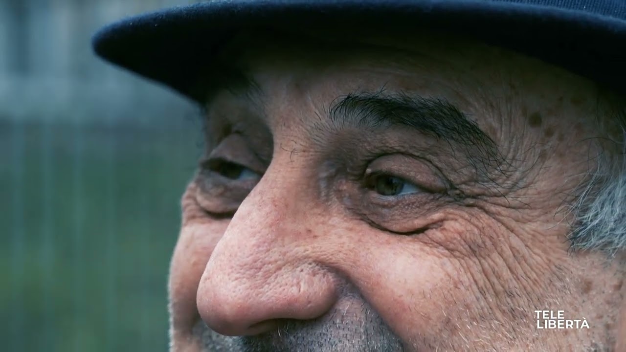 Lo stato della scuola