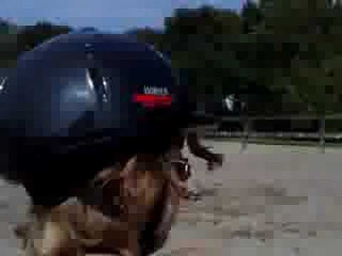 Voltige galop
