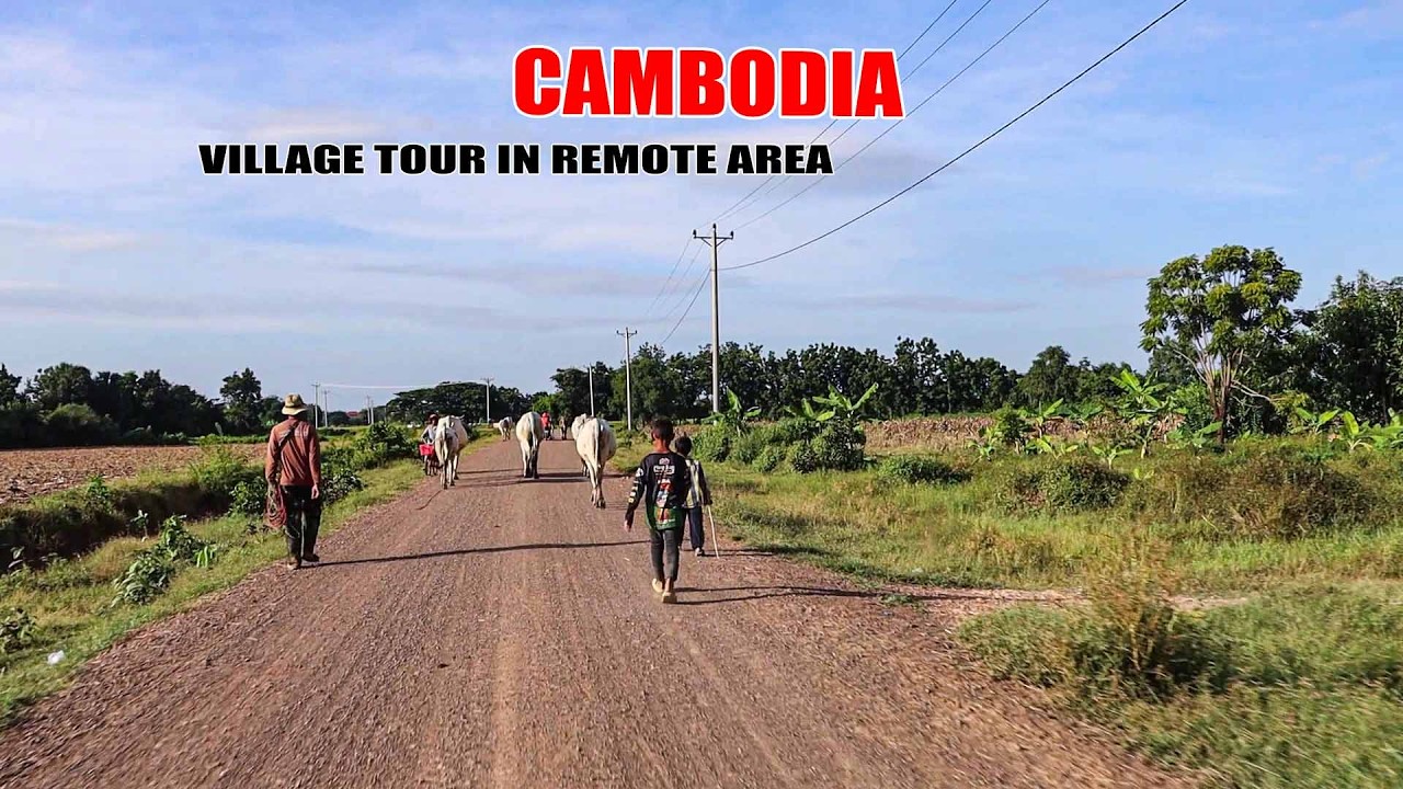 Village Tour in Remote Area Of Cambodia || Roads Trips- Living- Road- Village [ Mr Lee Village Tour]