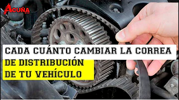 ¿Cuánto tiempo puede pasar sin cambiar la correa de distribución?