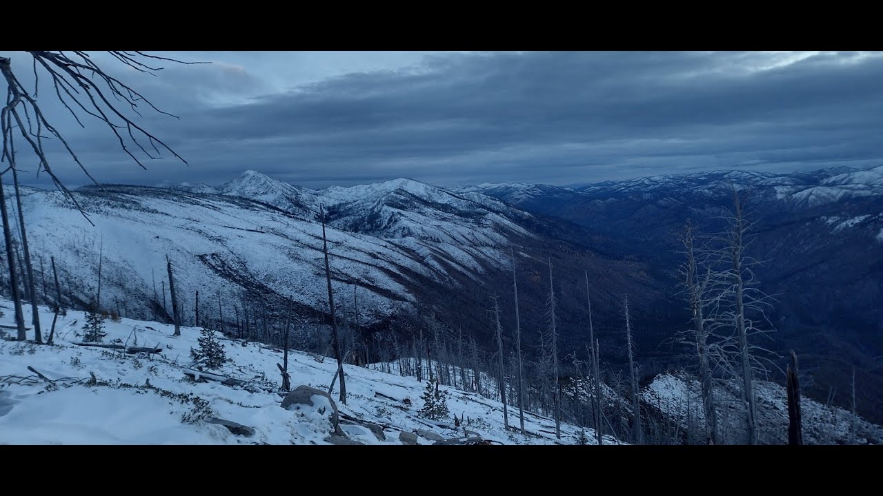 idaho deer hunt 2025