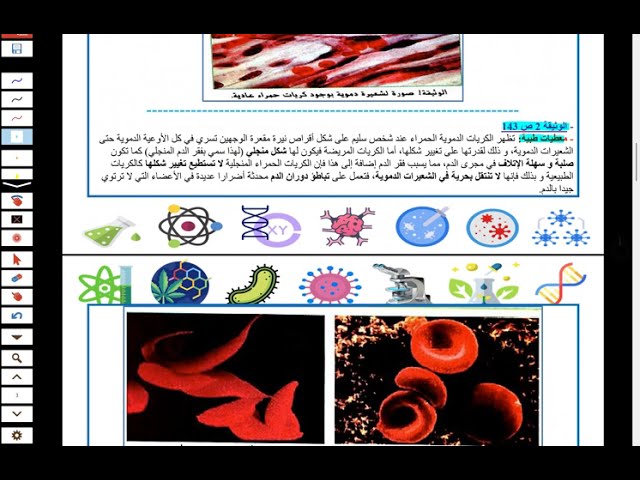 النمط الظاهري والوراثي