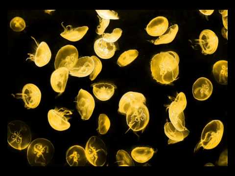 Boris Brejcha - Wellenreiter (Original Mix)
