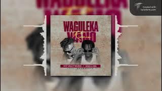 King Lion   Waguleka Wano Remix Feat Valley Music  Visualizer