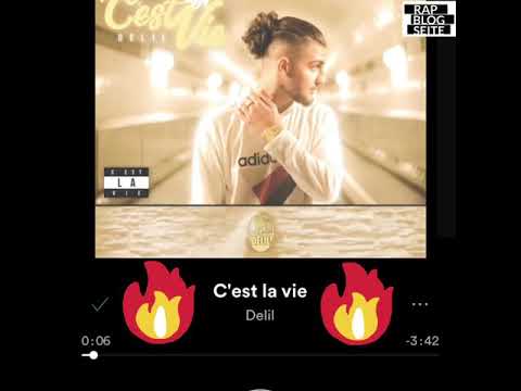 Delil C Est La Vie