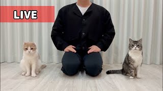 【生配信】一連の動画について下僕からご説明させてください。