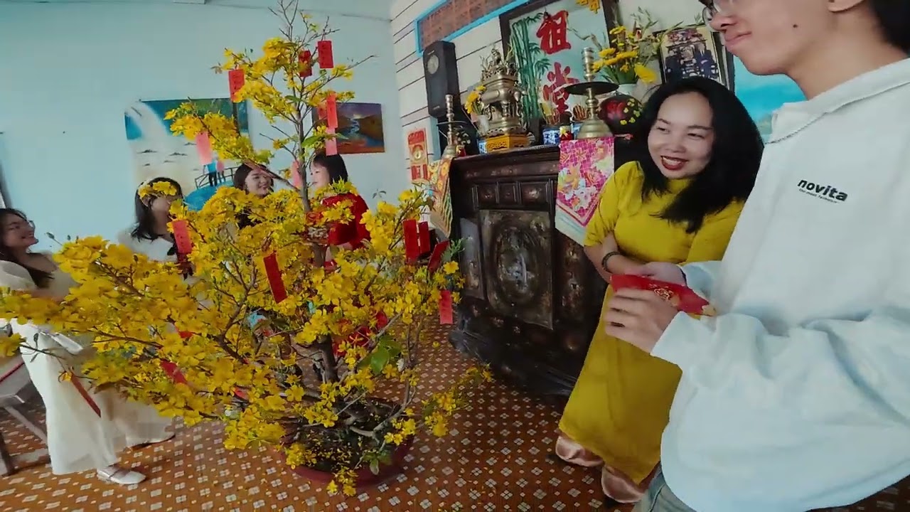 Ngày tết lì xì trên cây mai