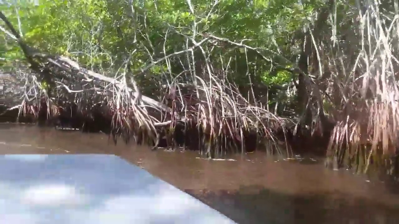 captain jack boat tours captain jack boat tours