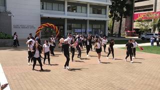 Phi Delta Chi Omicron Kids' Day Performance 2019