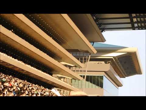 2017年ジャパンカップ ファンファーレ１０万人のオイオイ