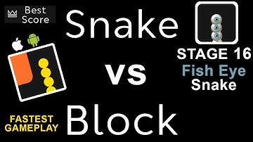 Snake vs Block | Stage 16: Fish Eye Snake | Best Score | PLAY mAdy