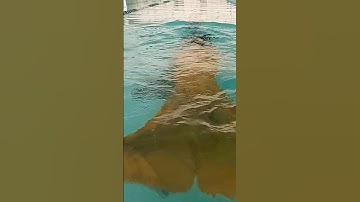 MERMAID 🧜🏾‍♀️🐚 SWIMMING