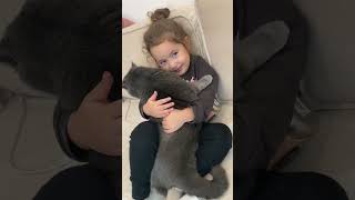 #cat #catandbaby #cats #catvideos #babyshorts #kedi #kedivebebek #keşfet #keşfetbeniöneçıkar