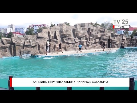 ბათუმის დელფინარიუმმა მუშაობა განაახლა
