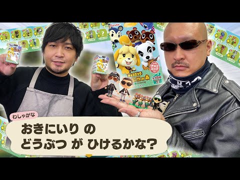 【どうぶつの森】ドレミに逢いたい…!そして梶田流!新たなタマゴの割り方も伝授!【チョコエッグ】