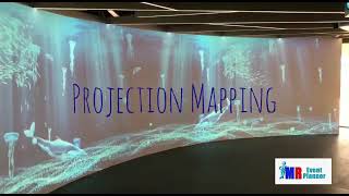 Projection Mapping - 16m curved wall screenshot 4