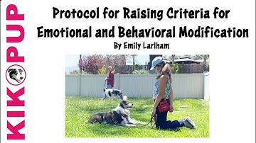 Protocol for Raising Criteria for Emotional and Behavioral Modification