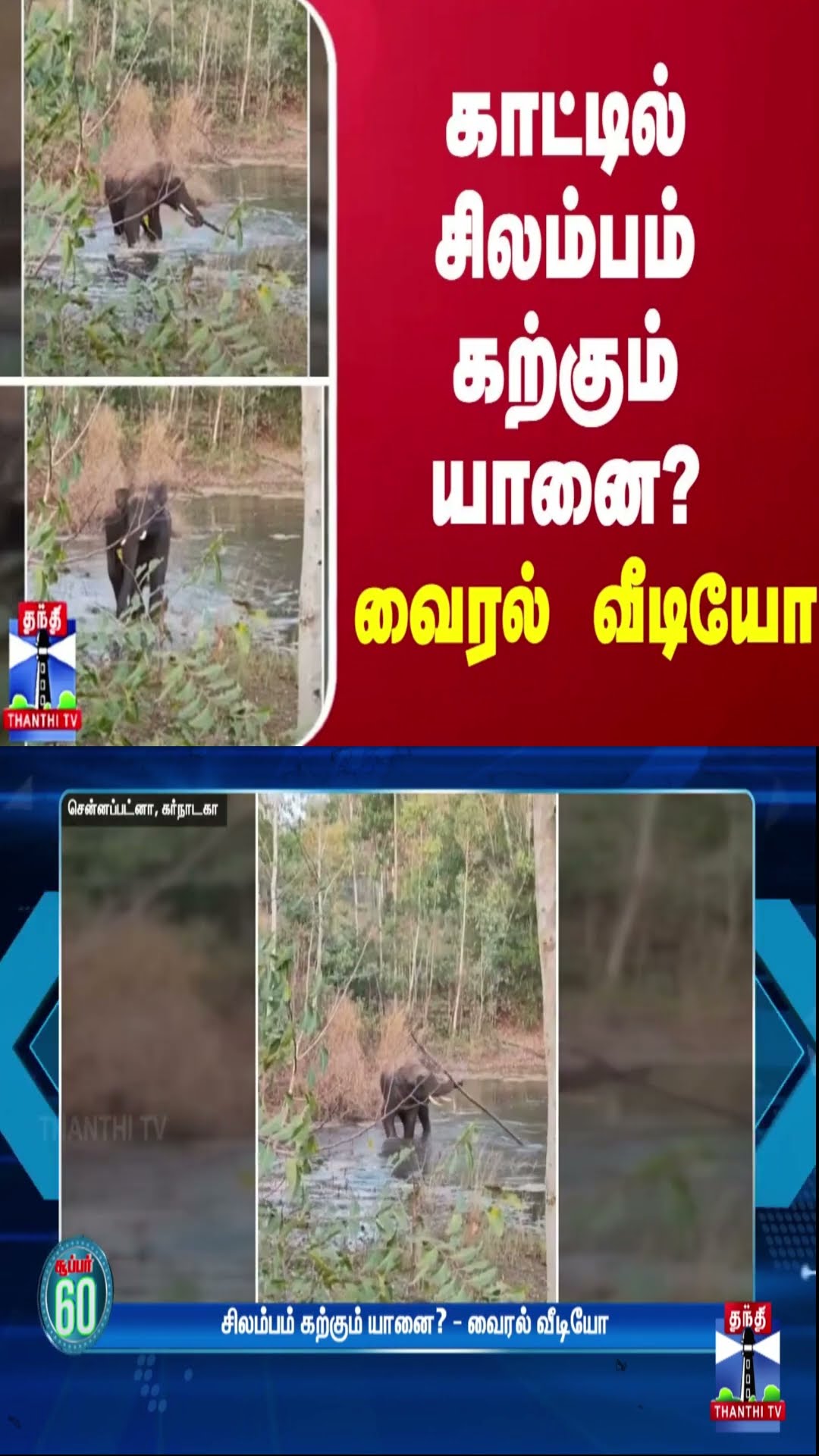 சிலம்பம் கற்கும் யானை? - வைரல் வீடியோ