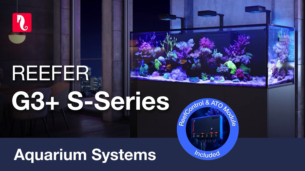 REEFER-S G3+ | Supersized premium reef-ready systems