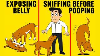 [90% Of People Don’t Know This!]  5 Common DOG BEHAVIORS And Their True EMOTIONS!