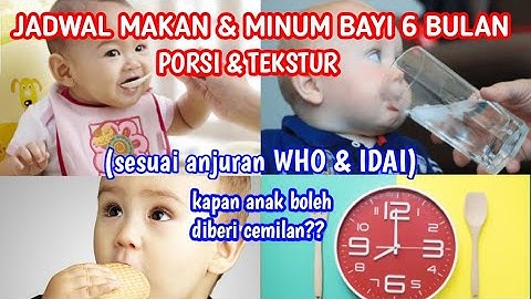 PORSI DAN JADWAL MAKAN BAYI 6 BULAN || INFORMASI LENGKAP SEPUTAR MPASI