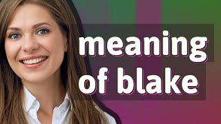Blake | meaning of Blake