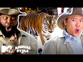 An Insane Armadillo & A “Sexy” Tiger | MTV's Animal Style