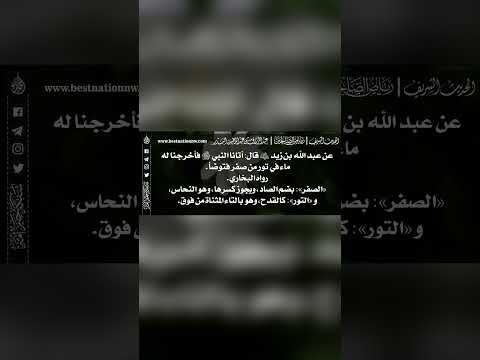 774 شرح حديث أتانا النبي ﷺ فأخرجنا له ماء في تور من صفر فتوضأ الشيخ الدكتور عبدالرزاق البدر