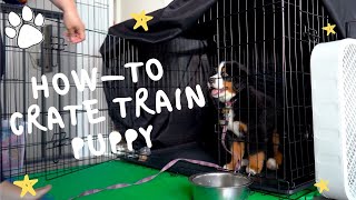 How To Crate Train A New Puppy | Enter \& Exit Crate