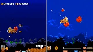 LETS COMPARE TOKI IN ARCADE (ORIGINAL RELEASE - NO PORT) AND IN AMIGA (PORT FROM ORIGINAL RELEASE)