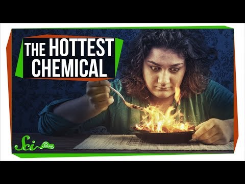 SciShow