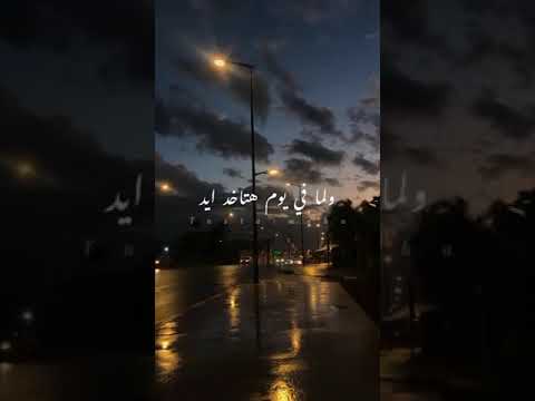 سيب بكره حسين الجسمي