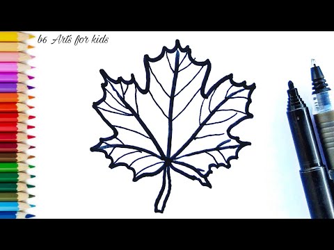 How to Draw Maple Leaf Easy