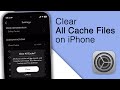 How to Clear Cache on iPhone! [iOS 16]