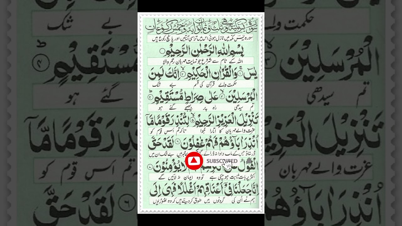Surah Yaseen | Yasin | #quransurah #surahyasin #fyp #tilawatequran #quran  #youtubeshorts