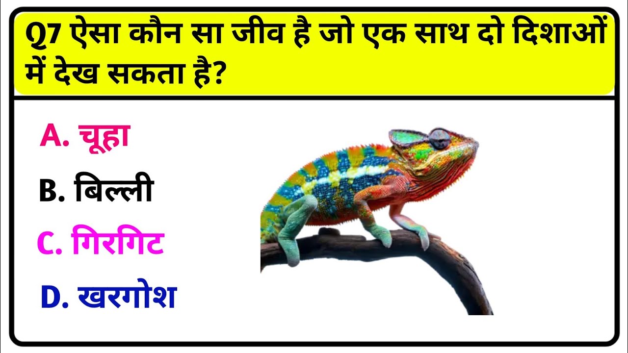 GK Challenge 💯 | Top General Knowledge Questions in Hindi आज का सबसे शानदार GK Quiz |