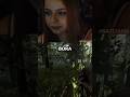 Saiu o episódio 03 da série de The Forest. Esse jogo ta ficando sinistro 💀