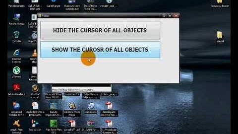 Visual Basic 2010 HIDE & SHOW the cursor of an application