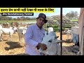 Yaduvanshi Gaushala Tour @Jitu Revolutionary Farmer