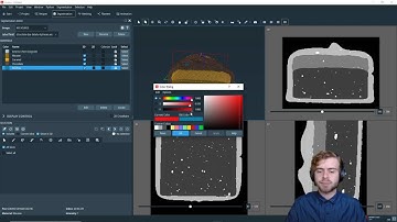 How to create a custom label colormap in Amira or Avizo Software