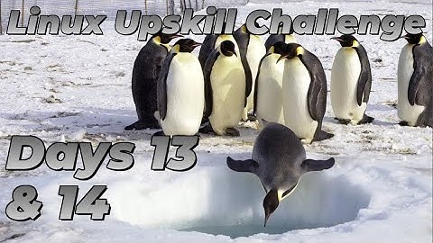 [Days 13 & 14] Users, Groups and Permissions - Linux Upskill Challenge