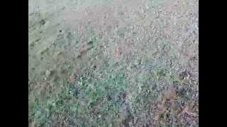 Probando El Cuadricoptero